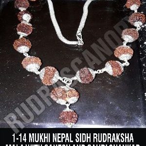 Nepal Rudraksha Malas