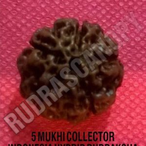 Rudraksha Papua New Guana