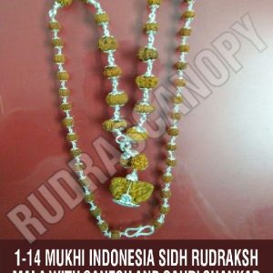 1-14 Mukhi Indonesia Sidh Rudraksha Mala