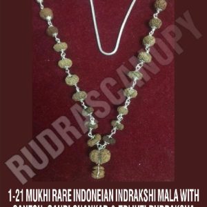 1-21 Mukhi Rare Indonesia Indrakshi Mala