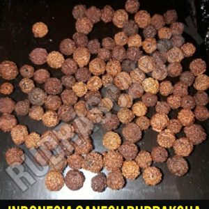 Ganesh Indonesia Rudraksha