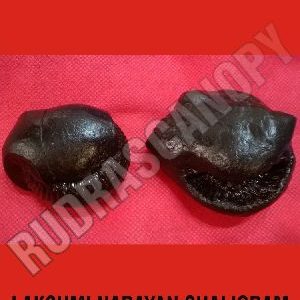 Lakshmi Narayan Shaligram Shila