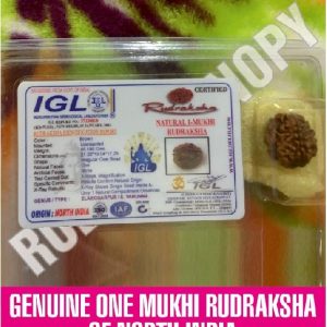 One mukhi rudraksha bead( North India)