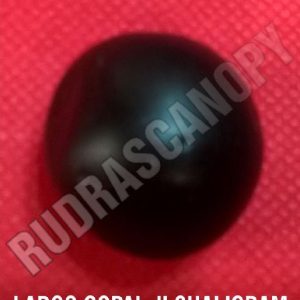 Shri Ladoo Gopal Ji Shaligram Shila