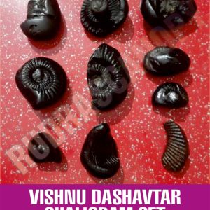 Vishnu Dashavtar Shaligram